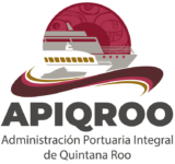 Logo-APIQROO