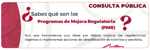 Banner-Consulta-PRM-01