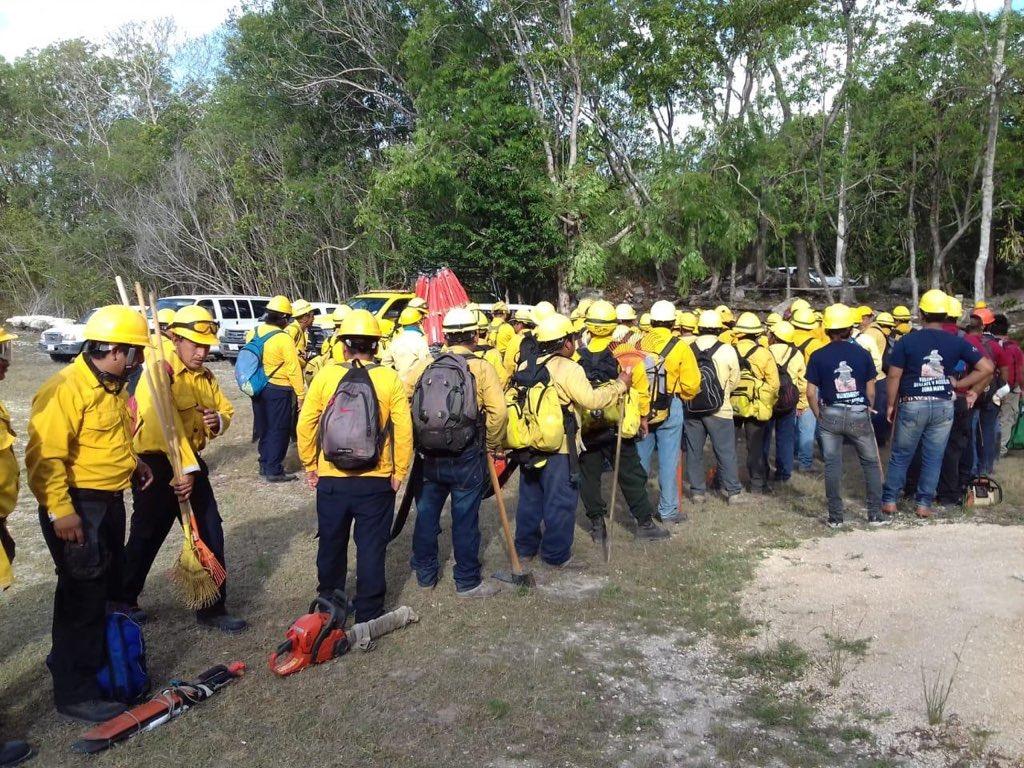 El gobernador Carlos Joaquín informó que para proteger las bellezas naturales de Quintana Roo, los brigadistas trabajan en controlar y apagar el incendio en Sian Ka’an