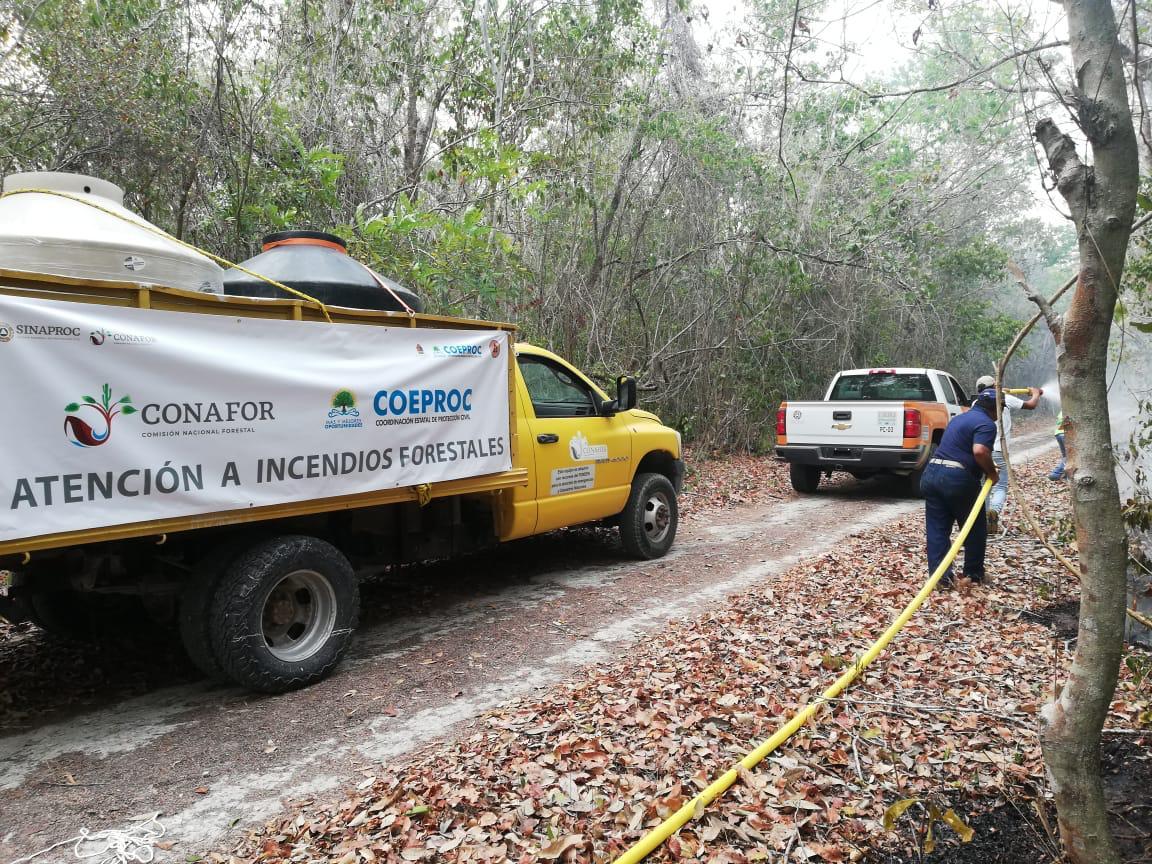 Se mantienen activos 12 incendios forestales de magnitud en Quintana Roo: Adrián Martínez Ortega
