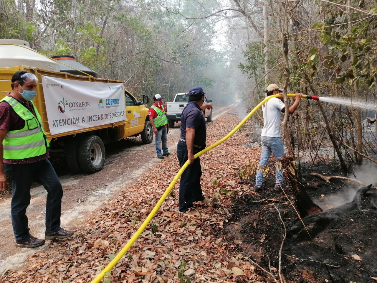 Autoridades de los tres órdenes de gobierno trabajan incansablemente para erradicar incendios forestales