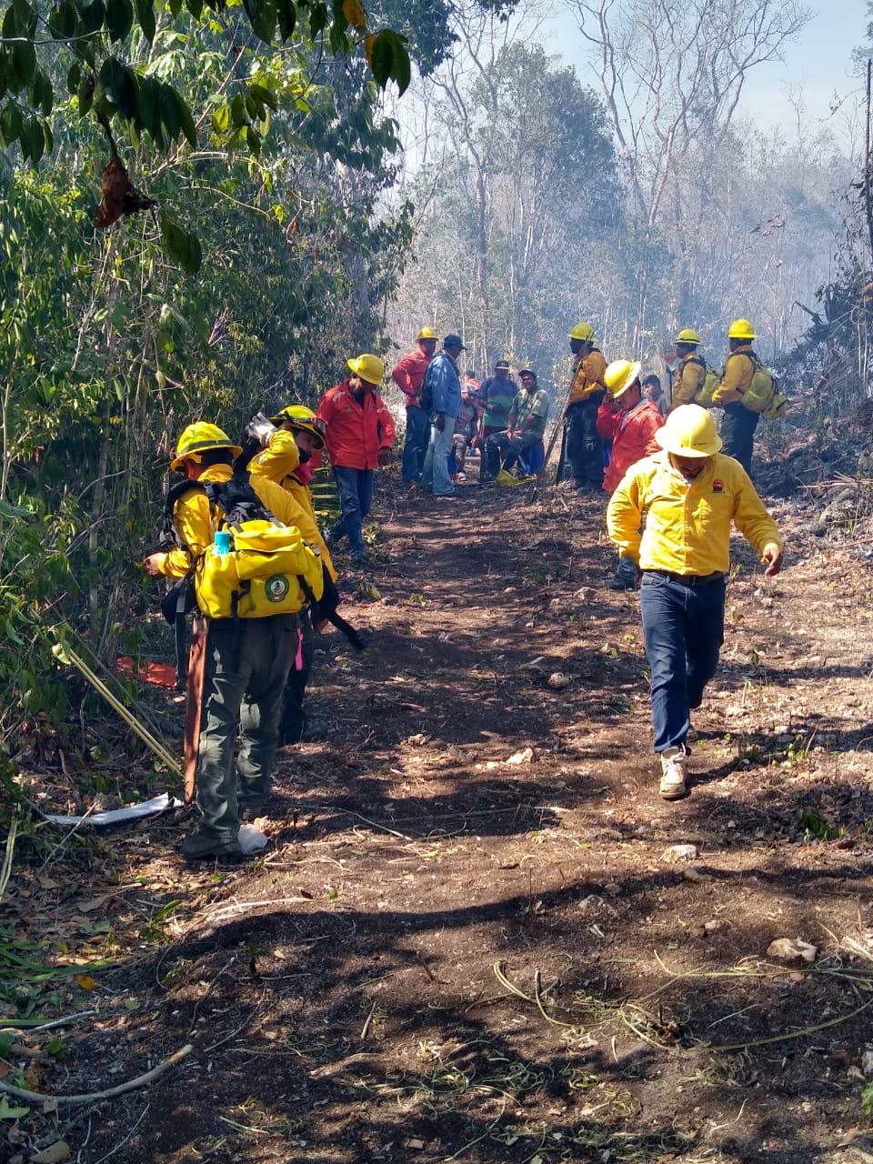 Concluye temporada de incendios forestales con afectación de 31,100 hectáreas en Quintana Roo.  