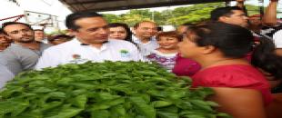 Con la permacultura se mejora la situación de mujeres con escasos recursos económicos en Quintana Roo: Carlos Joaquín