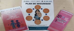 Fortalecer la Prevención, Detección, Referencia y Atención de la Violencia Familiar y de Género, así como la Promoción de la Igualdad de Género en Quintana Roo